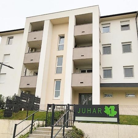 Juhar 1 Apartman Кесег Екстер'єр фото